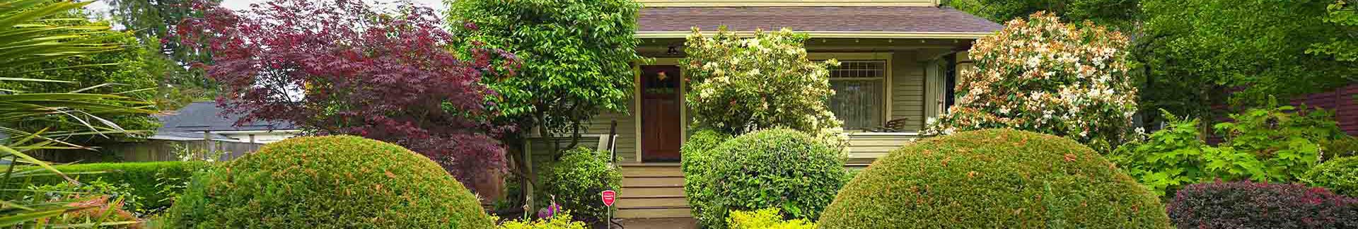 Green century-old house with beautifully manicured landscaping in front